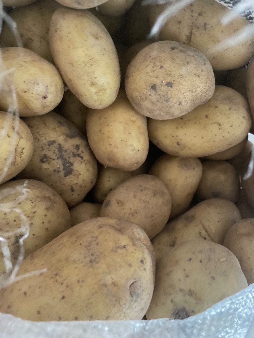 Patatas de la variedad Ellio