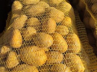 Patatas variedad Soraya con certificación de calidad GLOBALG.AP. Seleccionadas