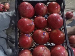 La granada egipcia es una fruta jugosa conocida por