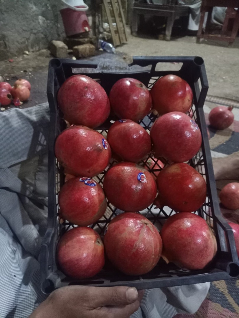 La granada egipcia es una fruta jugosa conocida por su piel roja y sus deliciosas semillas