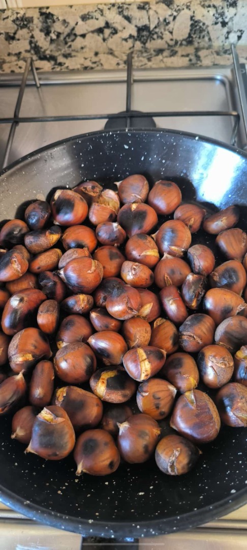 Vendo castañas del Bierzo de cosecha propia ECOLÓGICAS sin pesticidas ni sulfatos