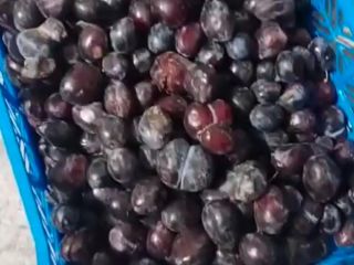 Venderé ciruelas congeladas en sacos de 30 kg. Volumen