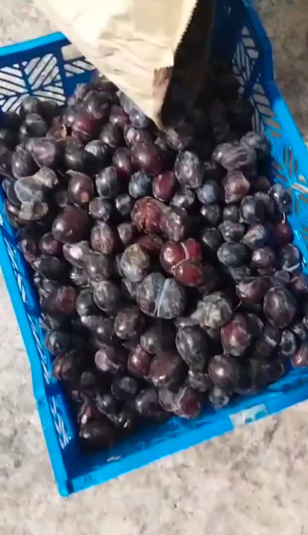 Venderé ciruelas congeladas en sacos de 30 kg