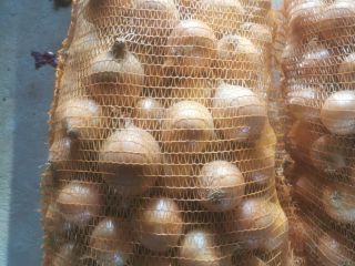 Ofrecemos cebollas de origen alemán en envases de 1