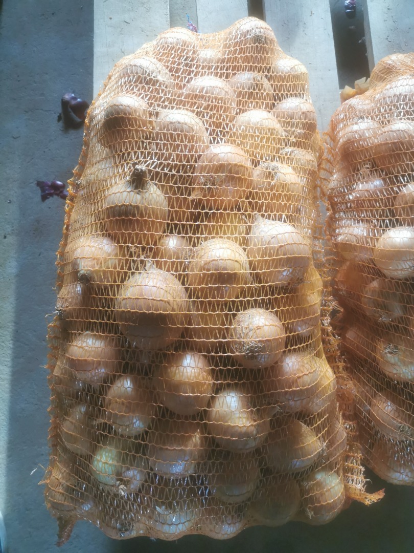 Ofrecemos cebollas de origen alemán en envases de 1 a 25 kg y en varios tamaños