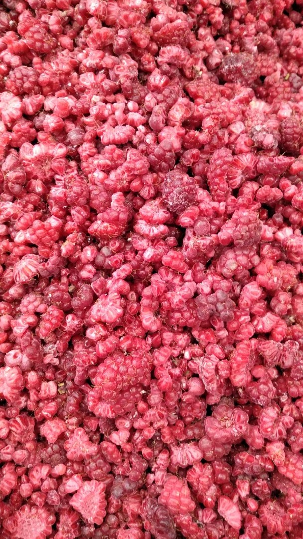 Tengo a la venta frambuesas congeladas, bolsa de 25 kg, 2,2 euros/kg