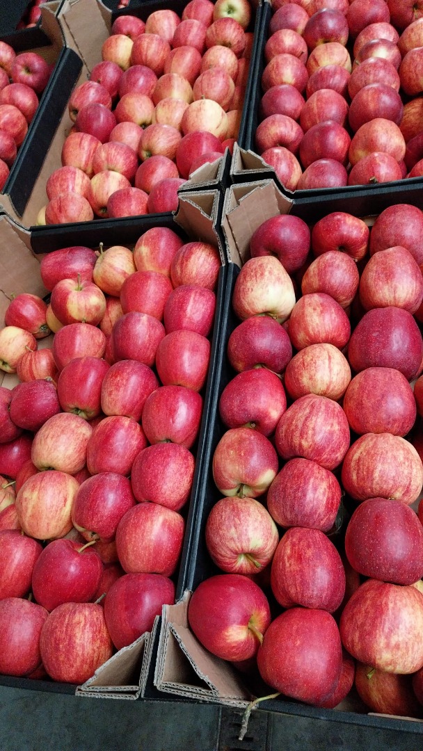 Hola vendo manzanas y peras orgánicas