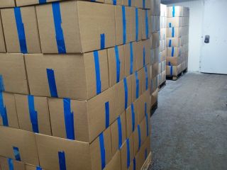 Venta de frambuesas congeladas 80/20 de alta calidad. Conserva