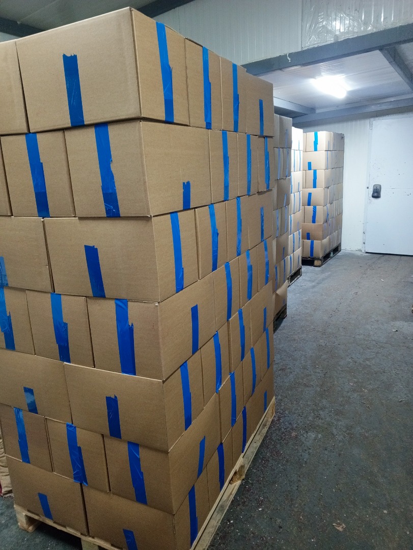 Venta de frambuesas congeladas 80/20 de alta calidad