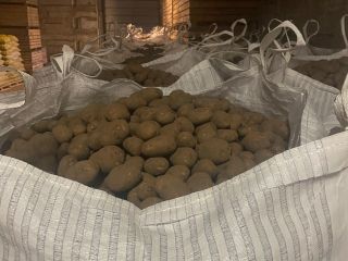 Hola. Represento a una empresa que cultiva patatas en