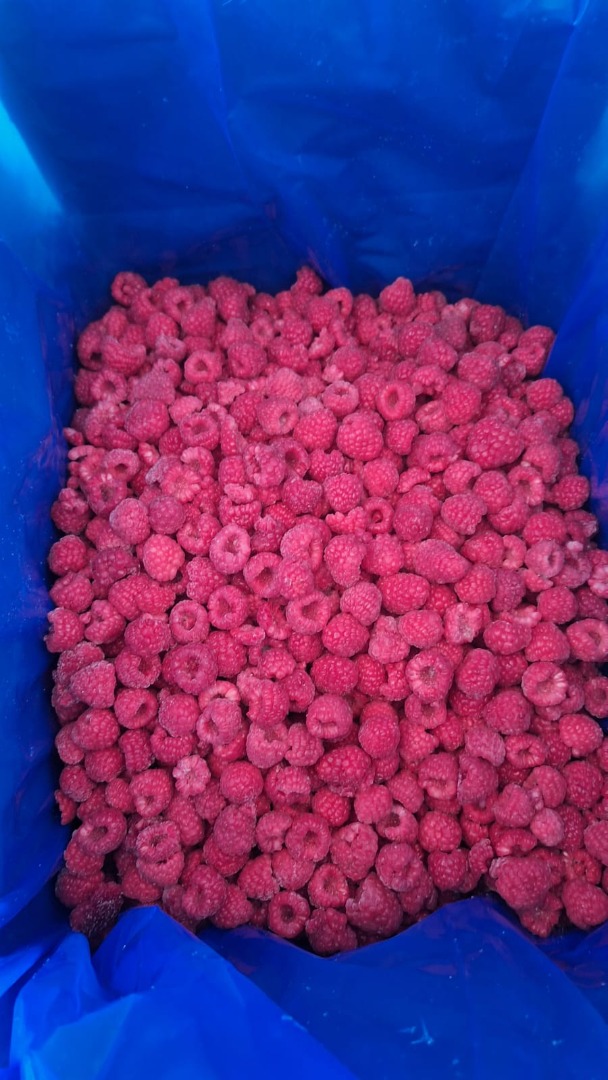 Frambuesa congelada 80/20