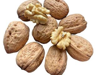 Vendemos Nueces Mitades de calidad superior Cuartos Harina de