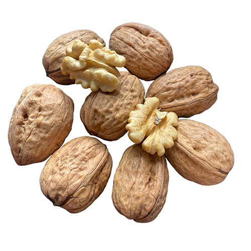 Vendemos Nueces Mitades de calidad superior Cuartos Harina de pepitas Confitería de semillas de girasol sin cáscara