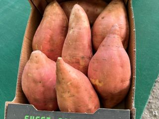 Hola, vendo batatas de Reggio Calabria. Para pedidos mayores