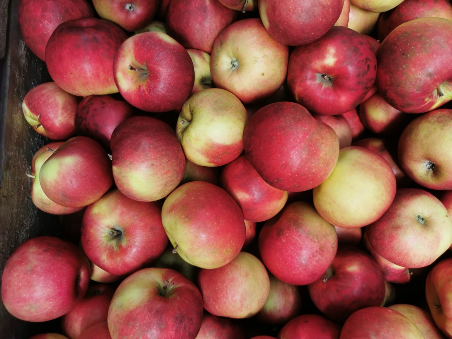 Hola, somos una empresa que vende manzanas peladas, manzanas para pelar o para hacer jugo