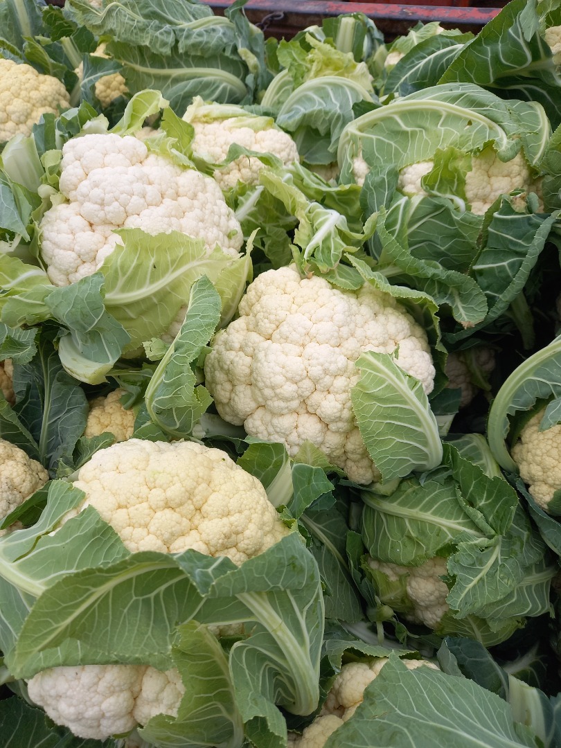 Venderé coliflor de calidad