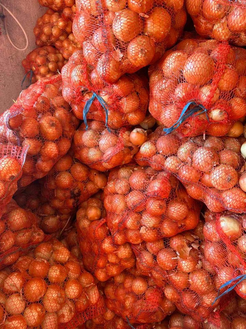 Vendo cebollas, calibre 5+, mallas de 20 kg en palets en film estirable, grado de almacenamiento a largo plazo, alta calidad, 2000 toneladas, FSA-Nikolaev, 260