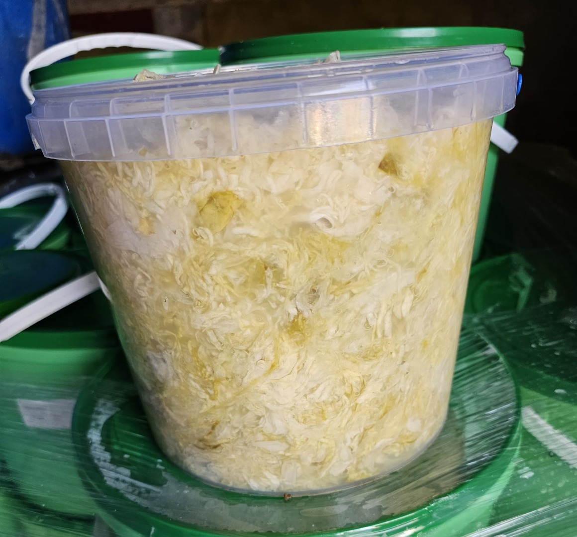 Hola, soy un productor de repollo de Charsznica, tengo a la venta chucrut blanco rallado