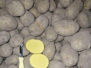 Patatas SORAYA Ofrecemos patatas SORAYA de alta calidad, directamente