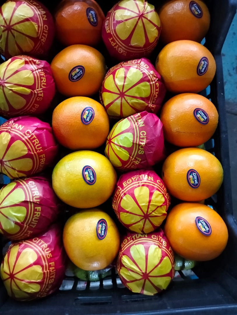 Naranjas Navel y Valencia Telescópicas y de tapa abierta, Talla 36/125 Calidad Premium clase 1 lavadas y enceradas, también disponibles clase 1.5 y clase 2