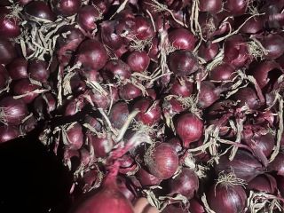 Tengo a la venta cebollas moradas, aptas para envasar