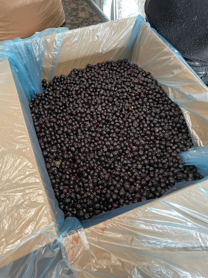 Ofrecemos frambuesas congeladas de alta calidad, recolectadas en regiones ecológicamente limpias y congeladas rápidamente para preservar su sabor y valor