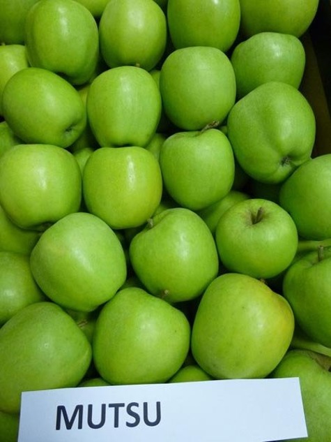 A mi empresa le gustaría importar manzanas de alta calidad al mercado húngaro