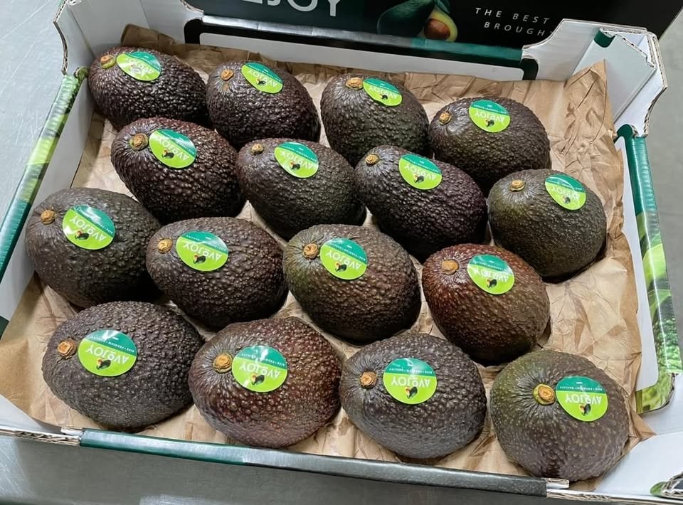 Aguacates Hass a la venta: ¡frescos y de primera calidad! Tengo a la venta un aguacate Hass, conocido por su consistencia cremosa única y su rico sabor