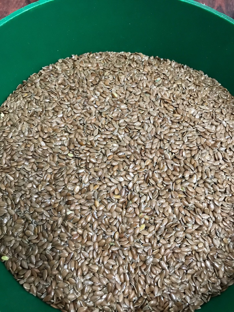Ofrecemos a la venta semillas de lino purificadas de origen ucraniano