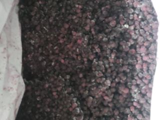 Venta de arándanos congelados, Cantidad 8.000 kg, Envase kk