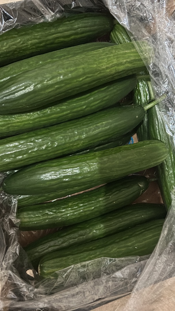 Buenos días, tengo a la venta un envío fresco de pepinos de invernadero