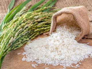 Deléitese con la calidad superior del arroz de Tanzania,