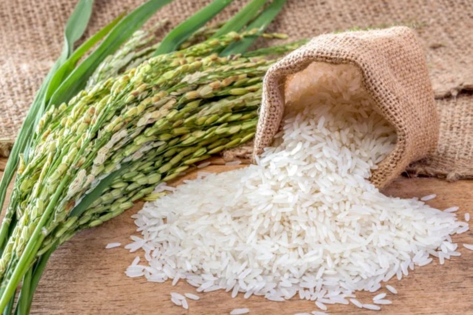 Deléitese con la calidad superior del arroz de Tanzania, famoso por su aroma natural, textura suave y sabor excepcional
