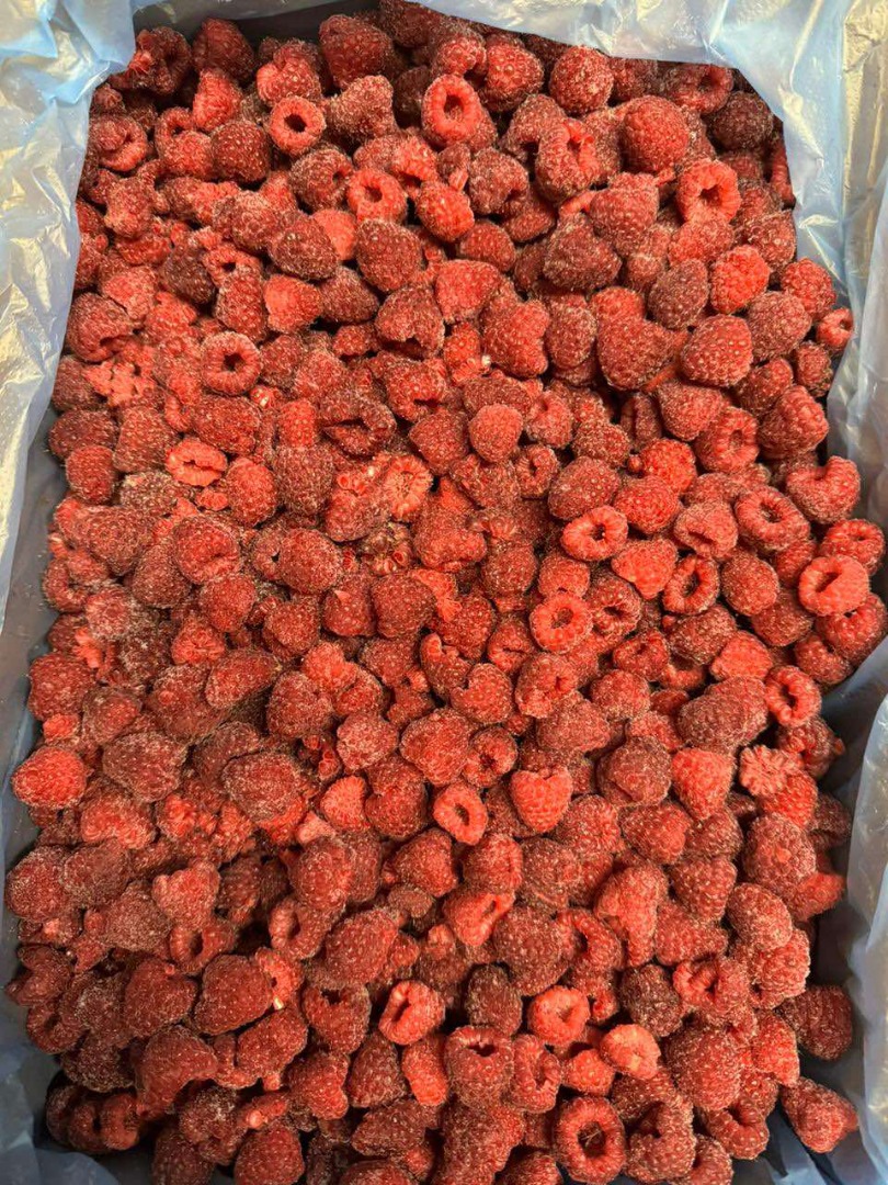 Vendo frambuesas congeladas 80-20, originales, gris