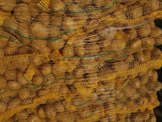 Venderé patatas amarillas Calibre 5+. Embalaje BB, bolsa cosida.