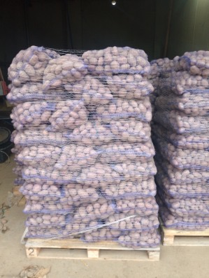 La empresa polaca MM TRADE KONSULTING ofrece la venta de patatas de diversas variedades (además de zanahorias, cebollas y coles)