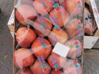 Vendo manzana roja de 540 kg. A 1,20 BGN/kg