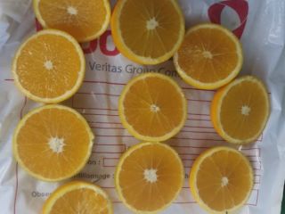 naranja de marruecos disponibilidad: variedad navel, newhall, salustatiana y