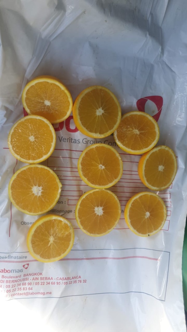 naranja de marruecos disponibilidad: variedad navel, newhall, salustatiana y nova