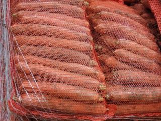 Vendo zanahoria sin lavar, bolsa de 10 kg, calibre