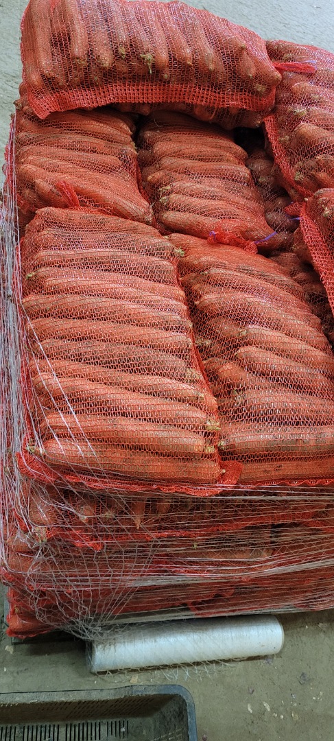 Vendo zanahoria sin lavar, bolsa de 10 kg, calibre 2,5-5 cm