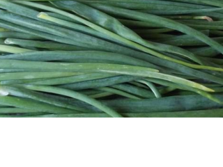Productor de cebollino 0,88 PLN por manojo (30 g)