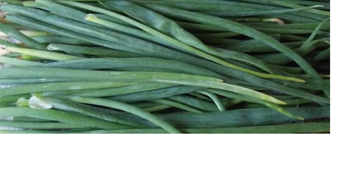 Productor de cebollino 0,88 PLN por manojo (30 g) Productor de cebollino, precio récord bajo de cebollino, producto cultivado en Polonia