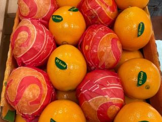 Naranja, mandarina, limón, granada, patata De Egipto, Chipre, Turquía,
