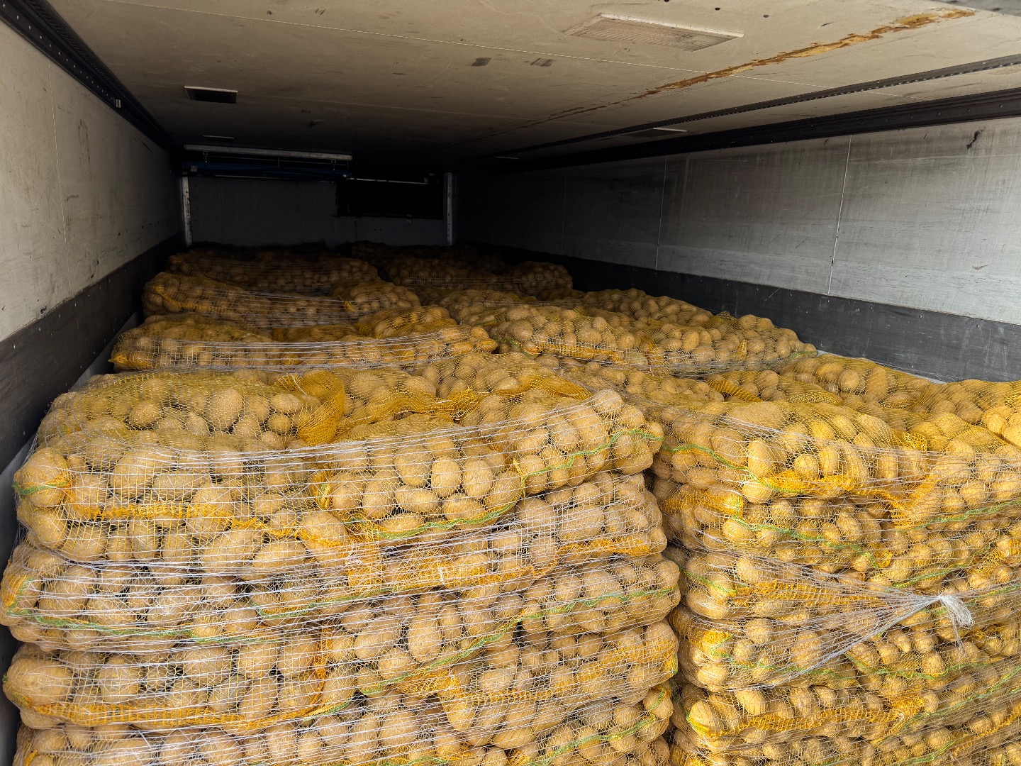 Ofrecemos Patatas Soraya envasadas en sacos de 15kg