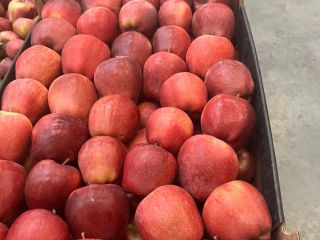 Vendemos manzanas de diferentes variedades a diferentes precios. Precio