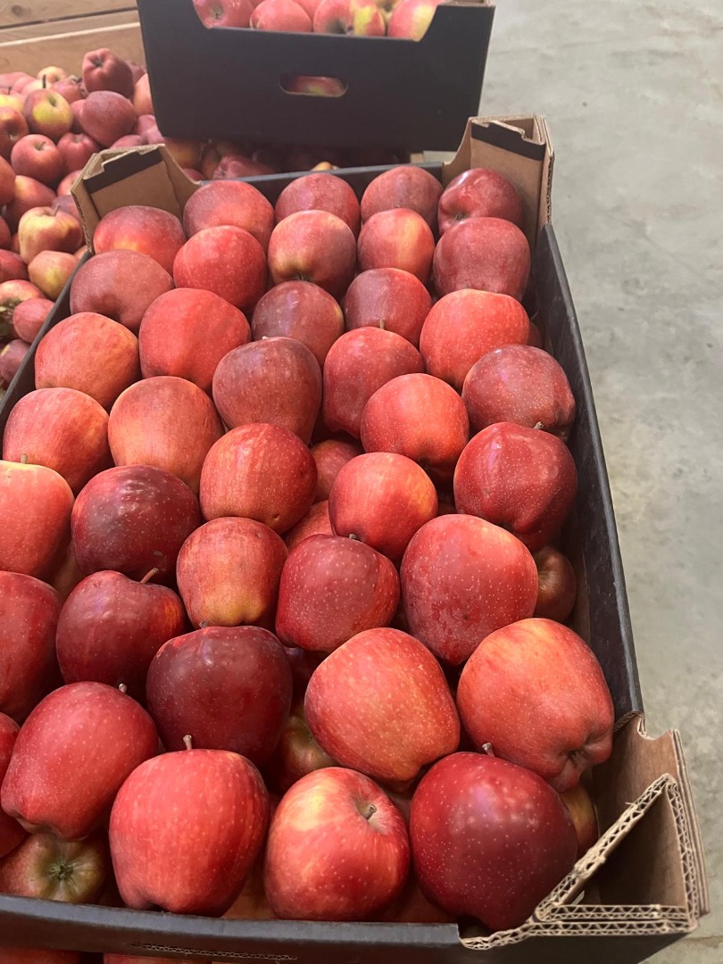 Vendemos manzanas de diferentes variedades a diferentes precios