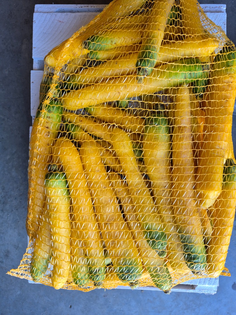 Estoy vendiendo zanahorias amarillas