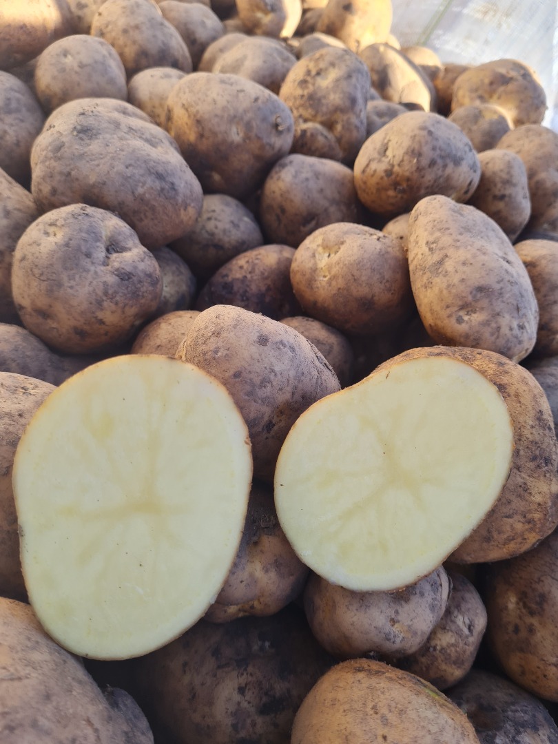 Patatas Melodía, Gala, Madrid, Néctar