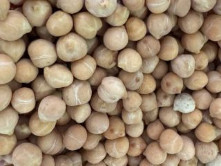 Garbanzos GARBANZOS (TIPO KABULI) Cosecha 2024 Humedad: 12,0 %